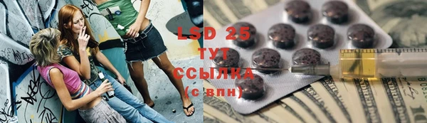 ГАЛЛЮЦИНОГЕННЫЕ ГРИБЫ Алексин