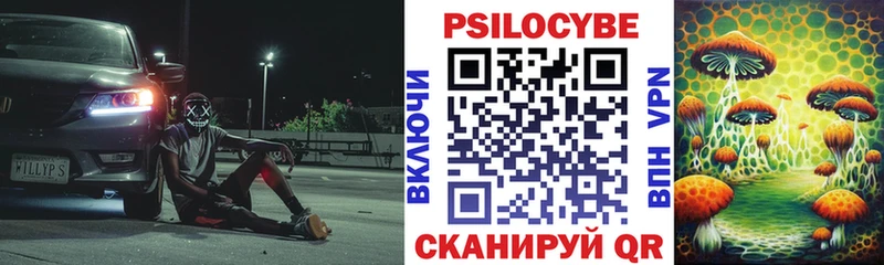 Псилоцибиновые грибы Psilocybe  darknet какой сайт  Белоусово 